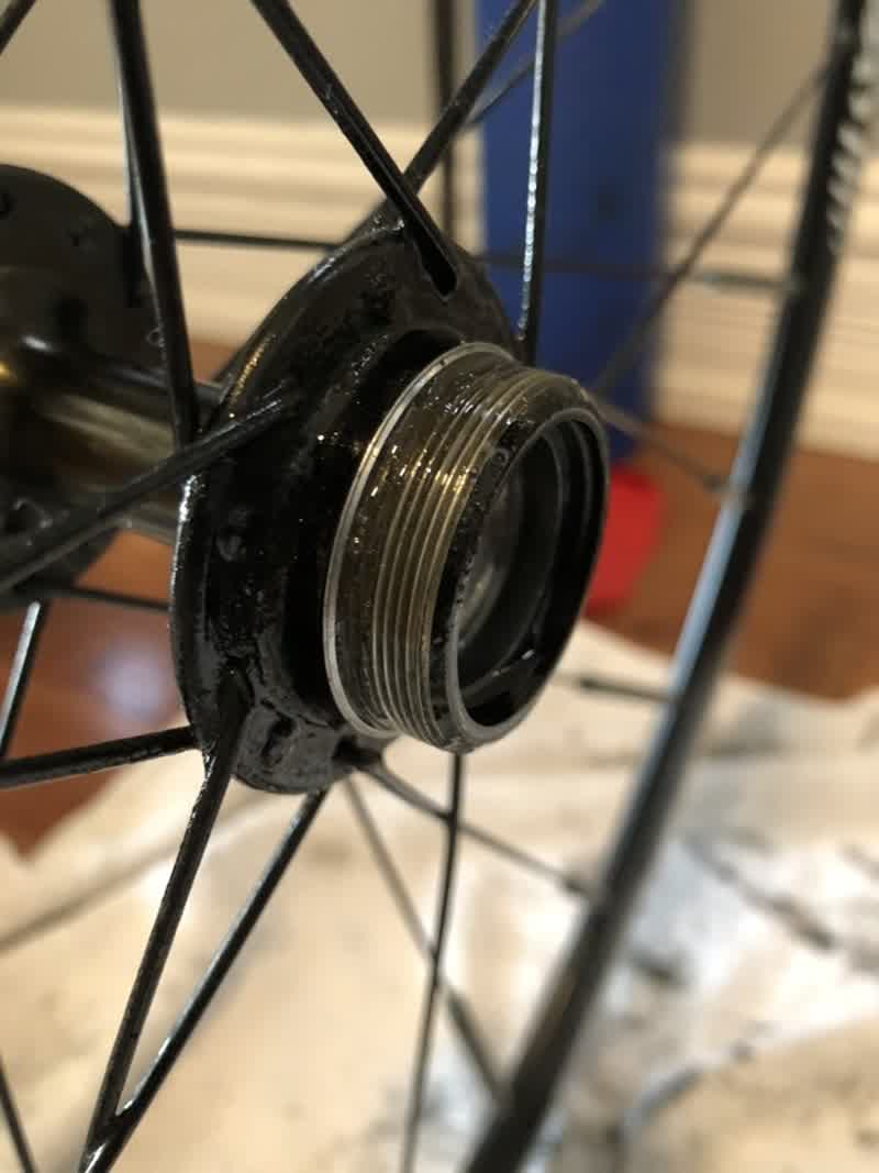 Hub without the freewheel